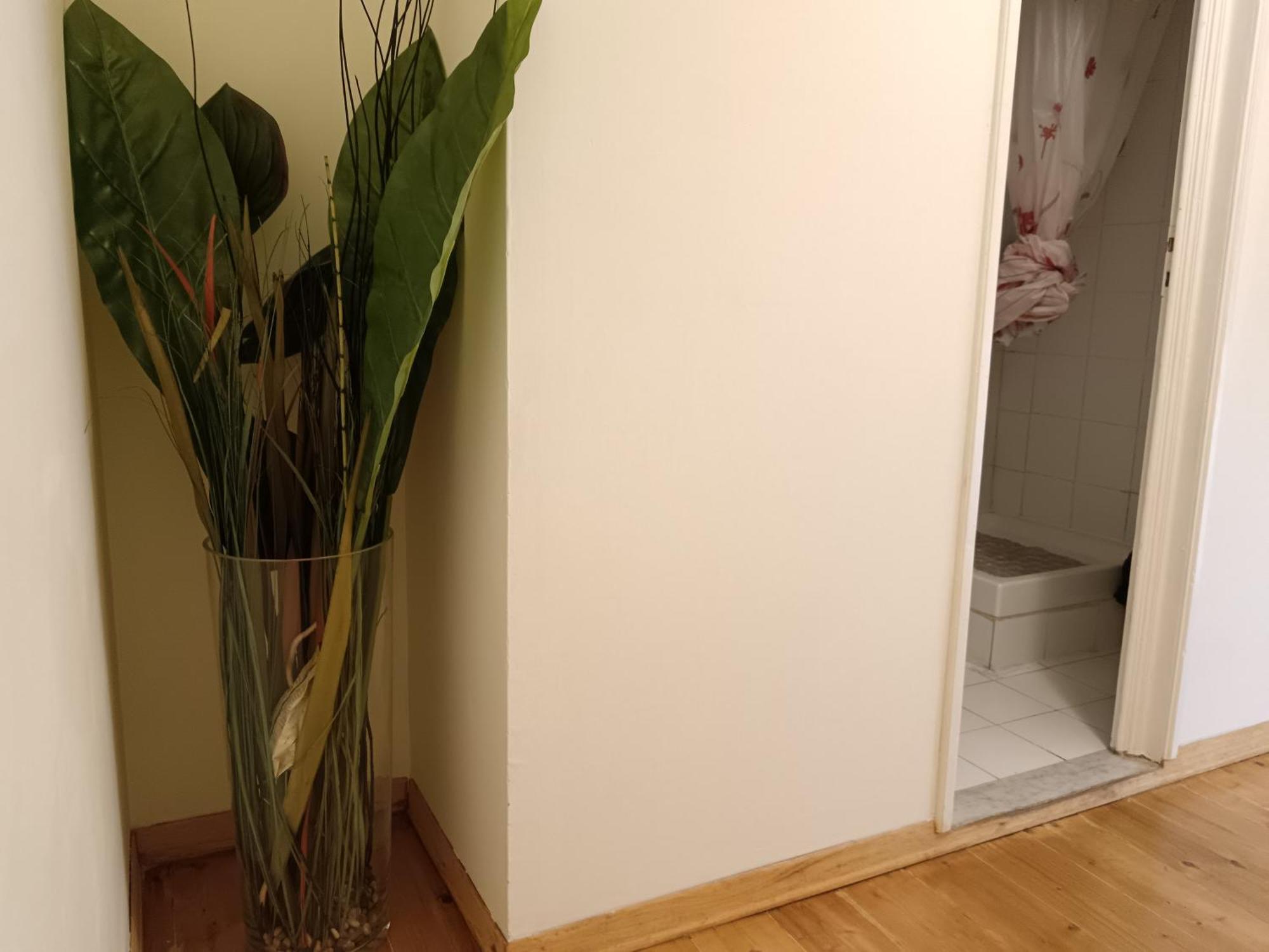 Apartment Luna In Florence